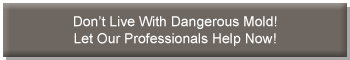 Mold problems? Let our professionals help now!