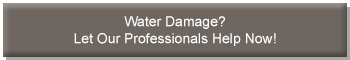 water damage repair