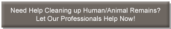 Biohazard and trauma cleanup by Paul Davis